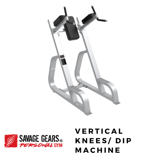 vertical knees dip machine