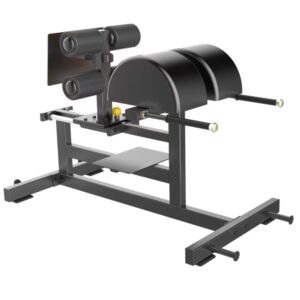 Glute Ham Developer (GHD)